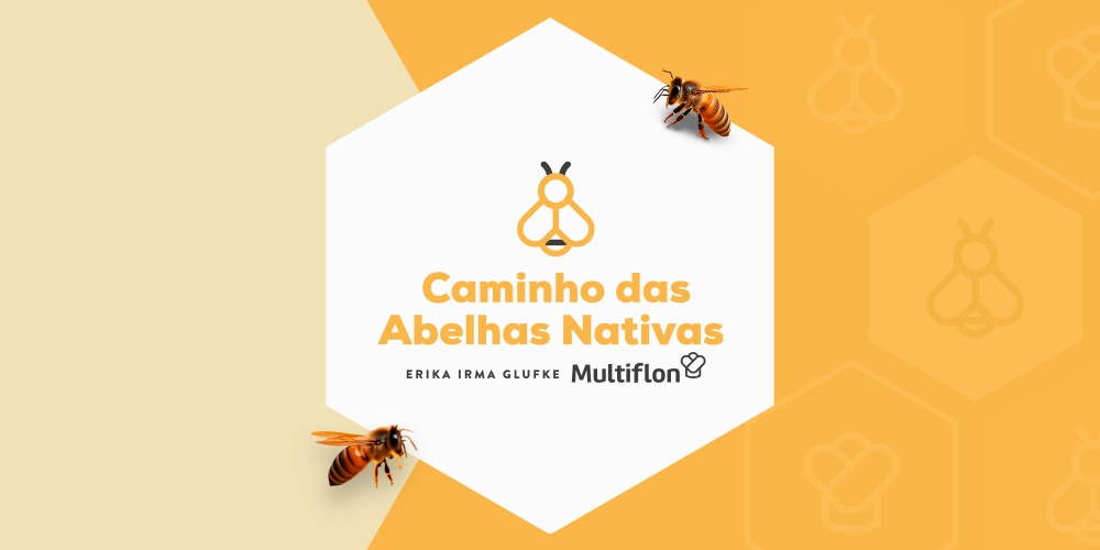 Caminho das abelhas Nativas: Quais espcies vou encontrar por l?